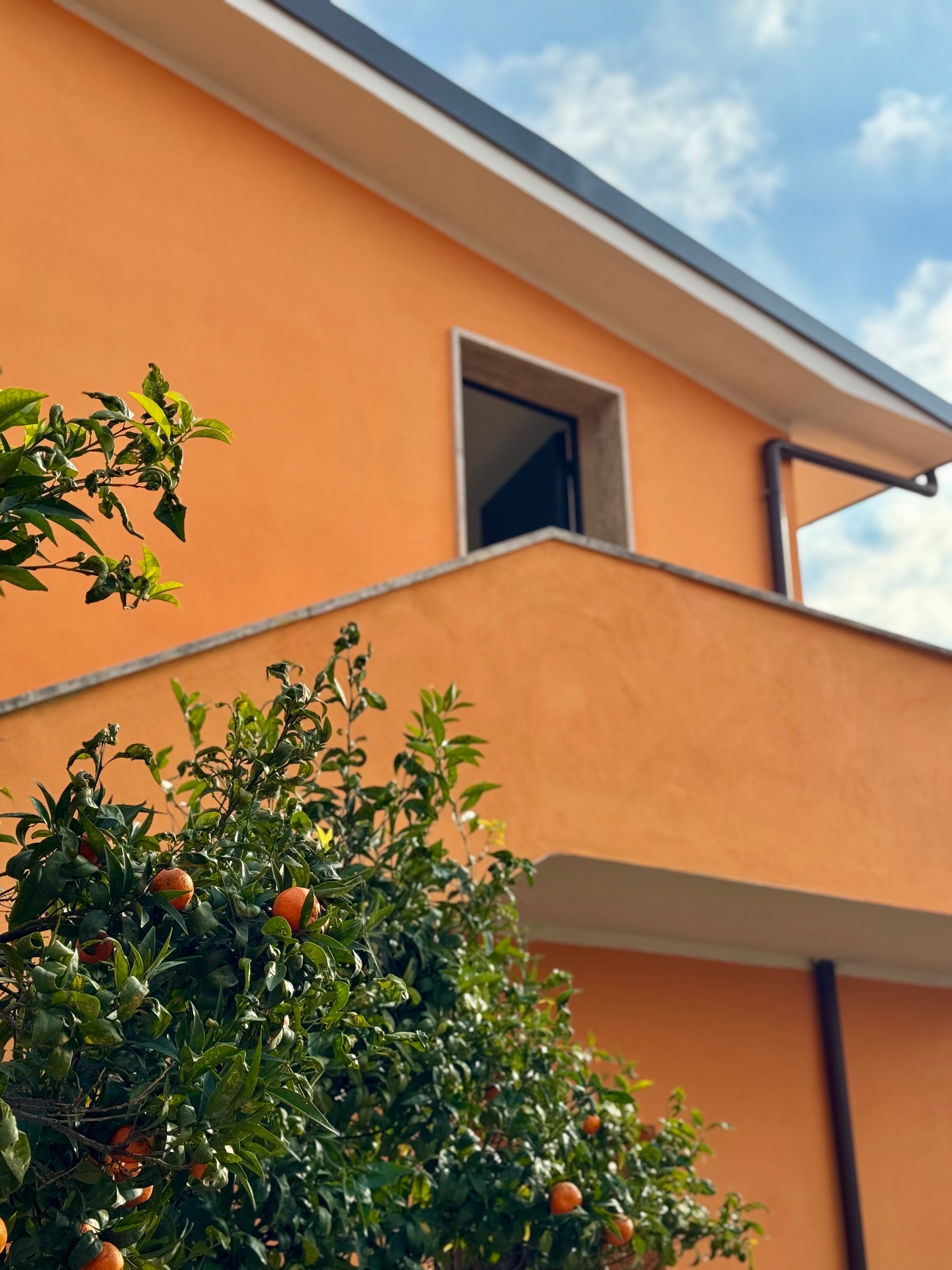 Appartamento a Nuova Florida